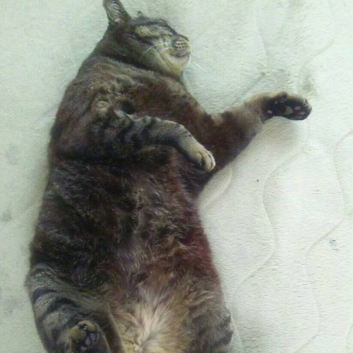 1b8d44ac b21b 4379 a3b5 5cc3b6dd8f5d 1617537572264