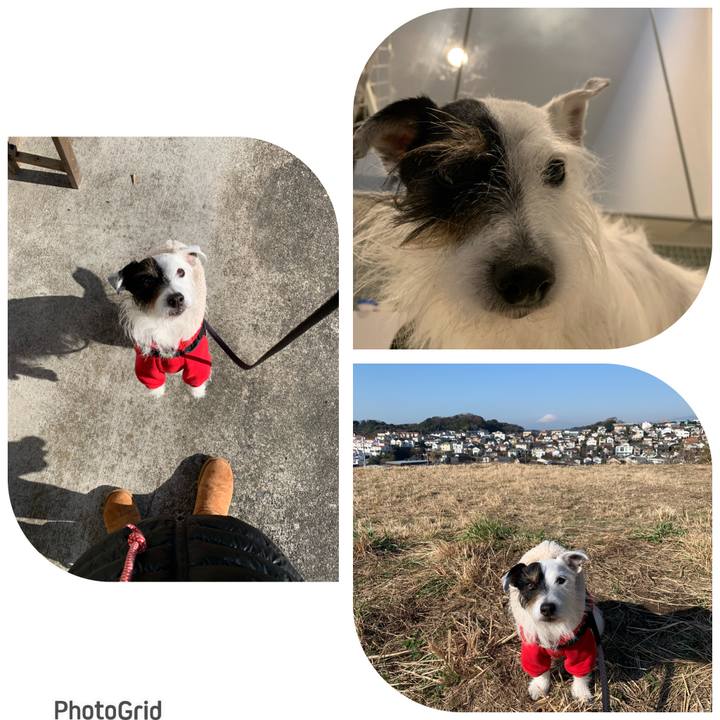 1b8d513e e119 4c07 b8c6 691f29a1c2ad 1674179081352