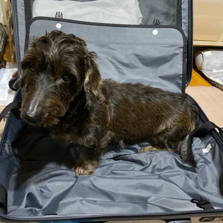 1b8d5d30 0ade 4843 8b9e 44dd9581c8d9 1572264493549