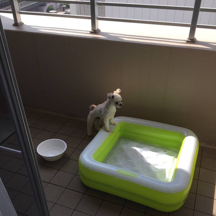 1b8d6933 21fe 4ed6 9b05 8383755538d9 1531527519706