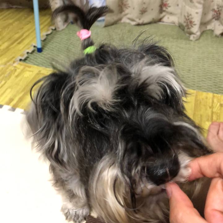 1b8d79bb 6a11 46be 9146 c9ff530e79fe 1532429972983