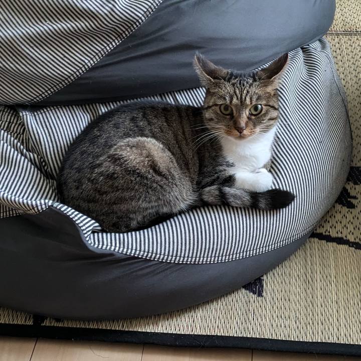 1b8d9333 c3ca 43d3 a849 835f0f172839 1720657025238