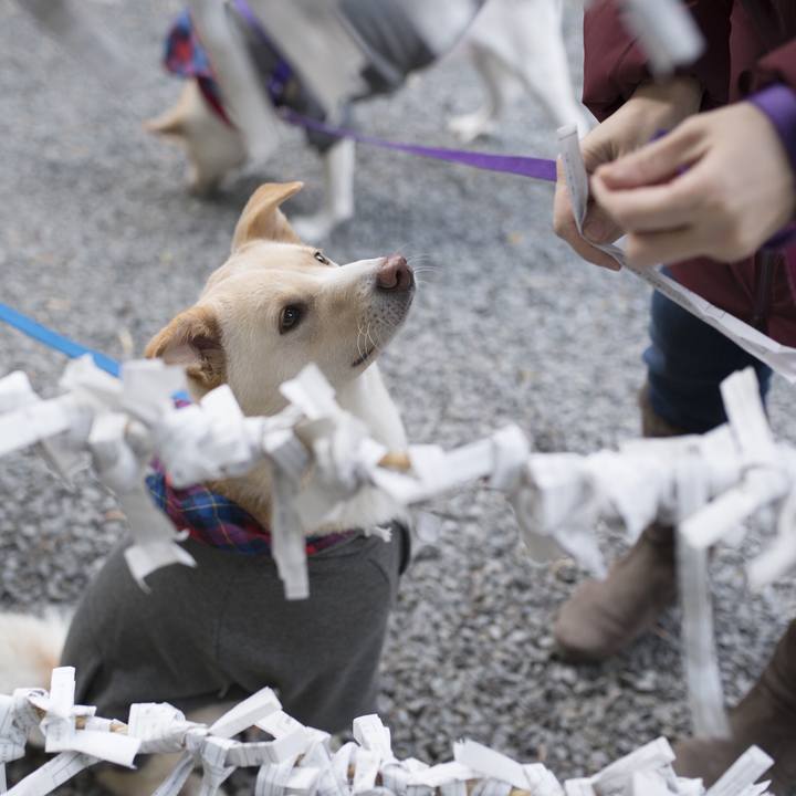 1b8db7db 75ba 4a98 9cc3 7566ff6bdf05 1546871467674