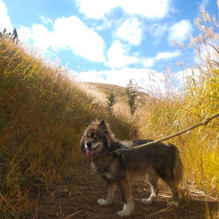 1b8de93a d1ba 4878 a5e0 614742c80e01 1635577009397