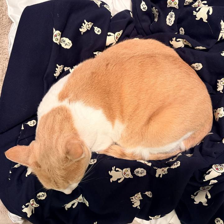 1b8e141c f22b 496b 8a6b 7d2c423f1ff1 1774092645941