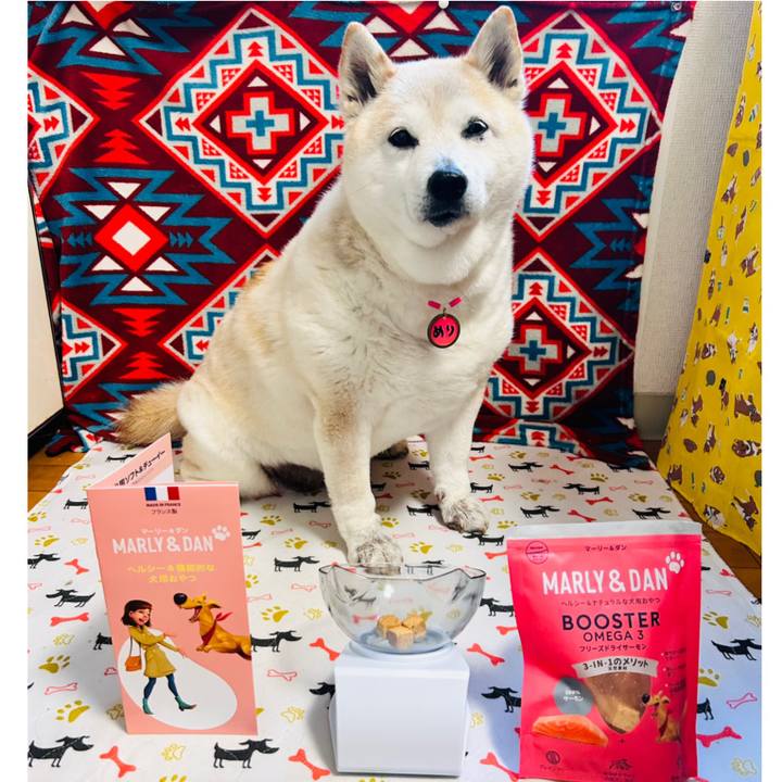 1b8e33b3 fd54 4099 809e 31dd44d0a93d 1739609889604