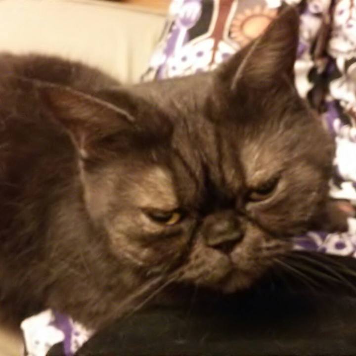 1b8e3d6f ea5e 4753 8993 93d9cfee4110 1537650094462