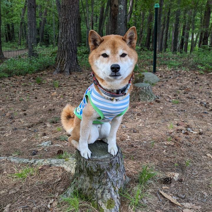 1b8e5862 265b 4d6b a90c 35d29dc1a56b 1716823320483