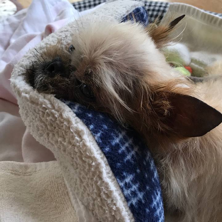 1b8eb90f 8d90 46d6 b080 8ba53e49f97f 1527651617005