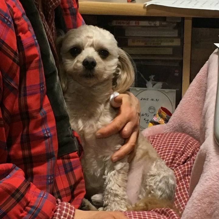 1b8f045e d9f7 4ef3 864f 718b68668b0b 1517843194807