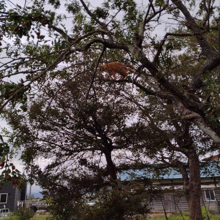 1b8f0c27 1eb9 4a51 adf0 79691cac943f 1664919601930