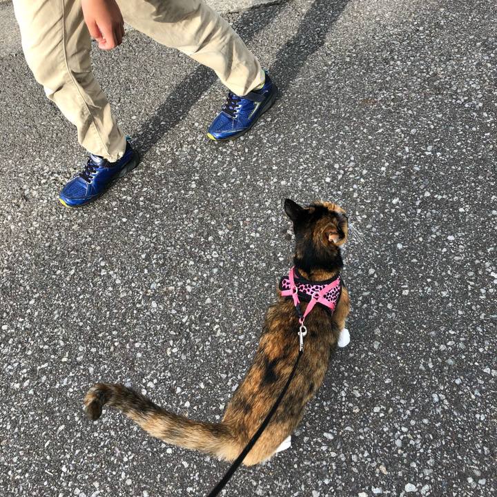 1b8f1d50 b371 4945 92f2 d87880e26c57 1535927628518