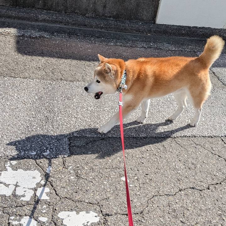 1b8f704f f704 4674 b498 87bf9e832ba7 1773906008594