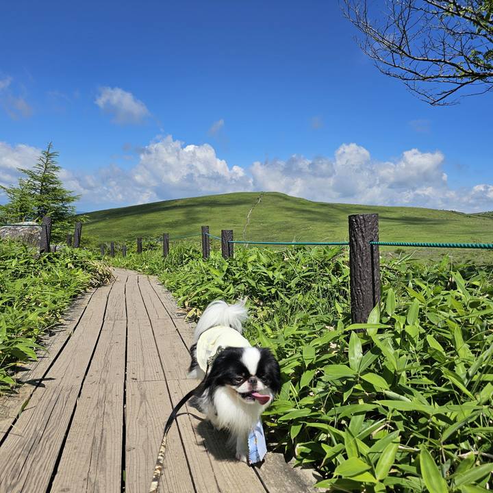 1b8f72d3 6a68 46b9 ba5c 648157061c1a 1721770696589