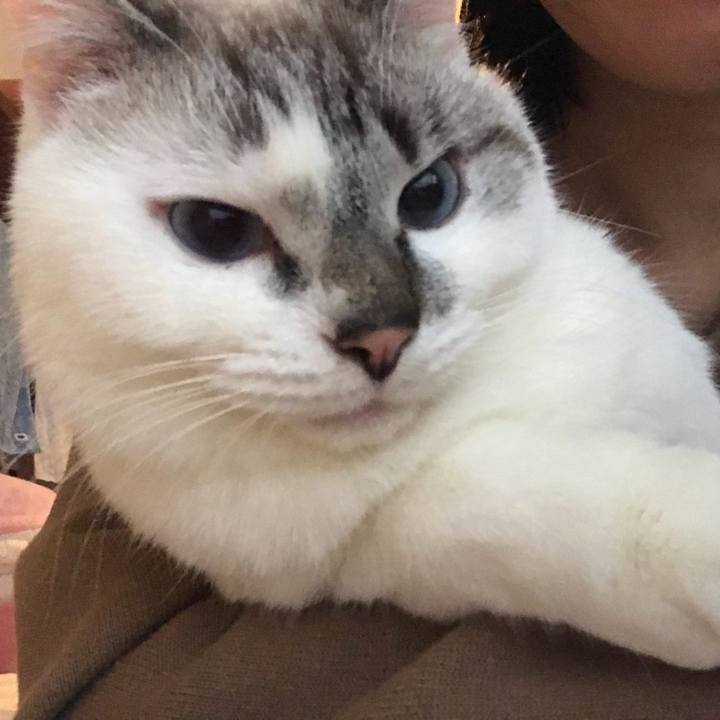 1b8f9c67 3ac4 42a6 9bd7 ca3b6ca9226f 1516402838306