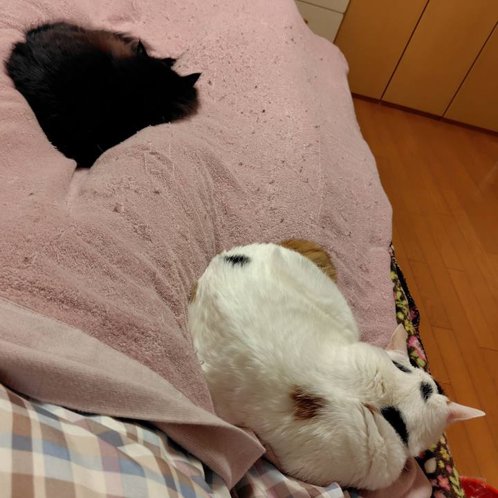 1b8fa55a ed25 4bb3 bf31 b0e5a9044bc7 1729606290244