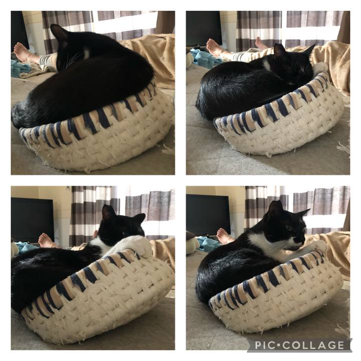 1b8fe701 5ca3 4a3c 959f d6427d0b1c68 1622408477100