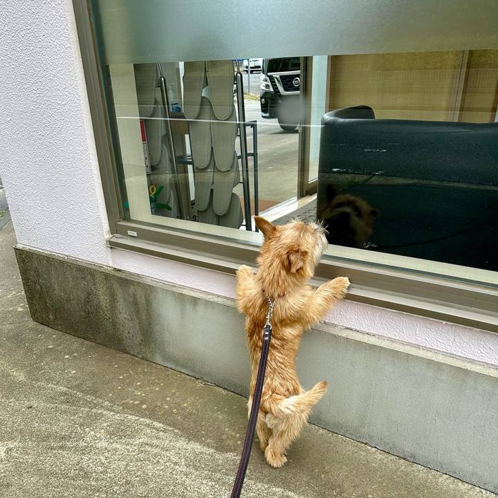 1b8ffe84 b797 475e b090 143b889ed86e 1717325200294