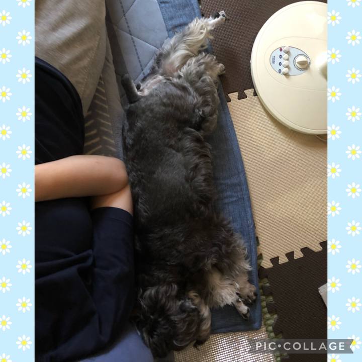 1b9018f3 f4e1 425e a4b4 32aed3597094 1694311415583