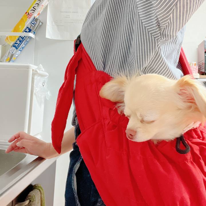 1b902529 22e7 44b8 8670 1fddaa83787a 1647432601786