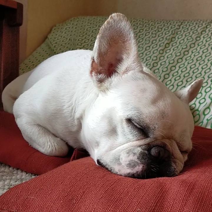 1b903360 85c3 48b1 b37c 671a1e96d909 1657244781388