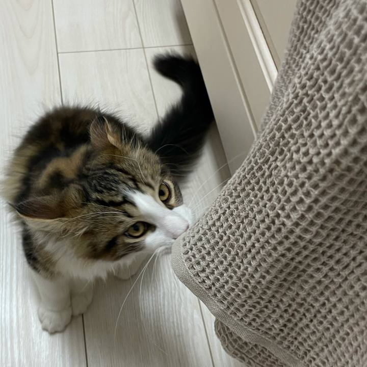 1b903c2a a4cc 4d10 9b86 f218a88d3622 1634847037848