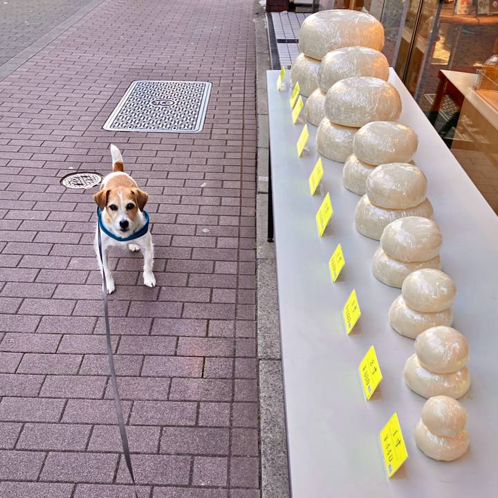 1b904e1d 07aa 4499 9ab6 ac39d2d3fcea 1703675466483