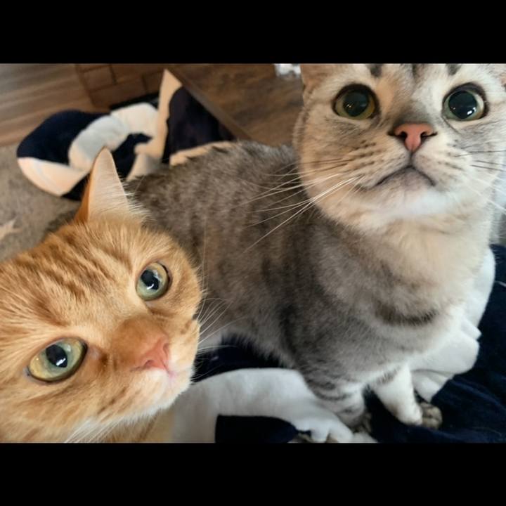 1b9065b3 6c23 47be bfd2 8931c119c5df 1648510077732