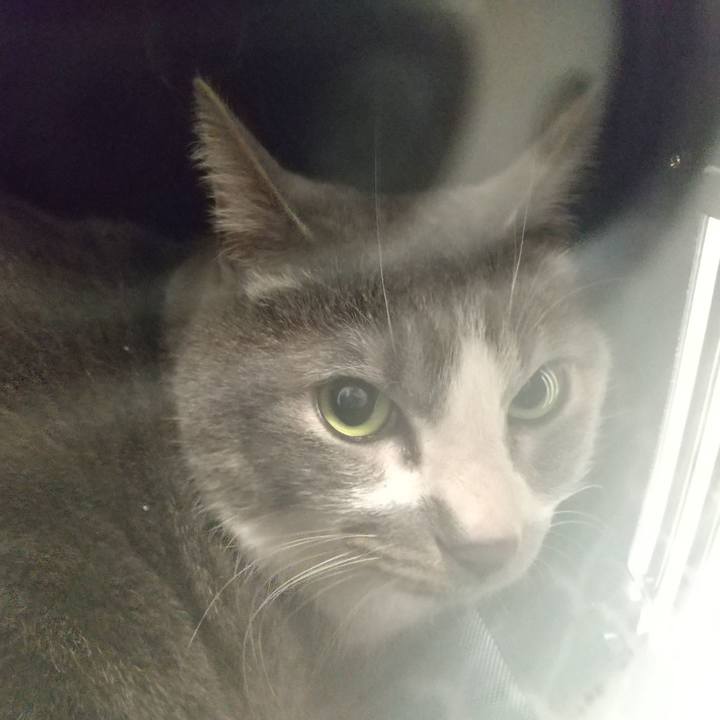 1b906aeb 9098 449f 9c25 3eaf257eb5cf 1648043596979