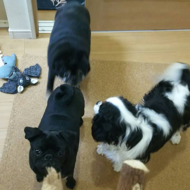 1b906f93 4ebe 4645 a4d4 d64a941ee46a 1533964244371