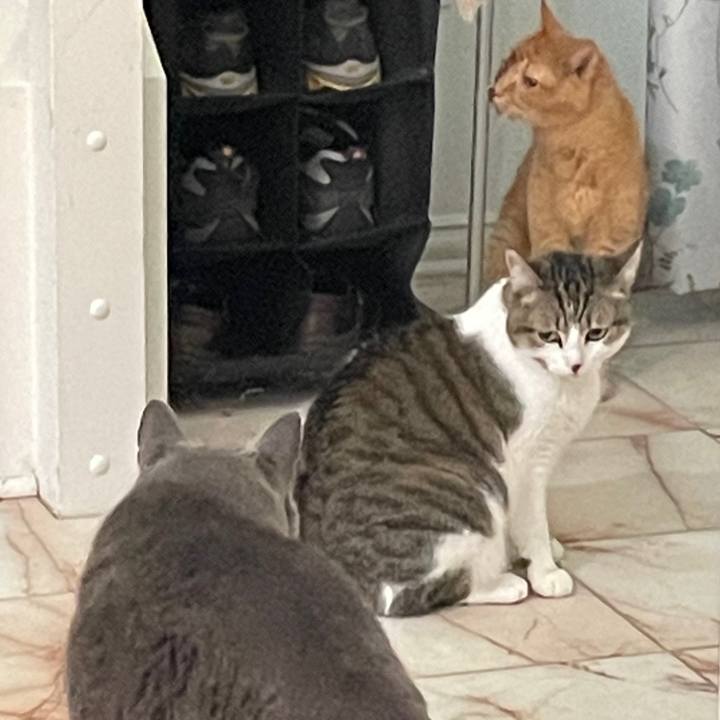 1b90c0fa c531 420e 826f 1f7a6da55b50 1769479711008