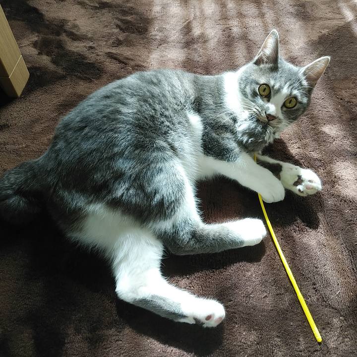 1b90e9ef 99e7 4356 b7f9 72ae76581623 1581304318958