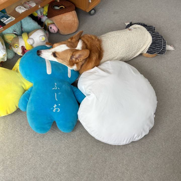 1b90eb5e 8eff 4e31 a18f b77d319a7795 1763705390126