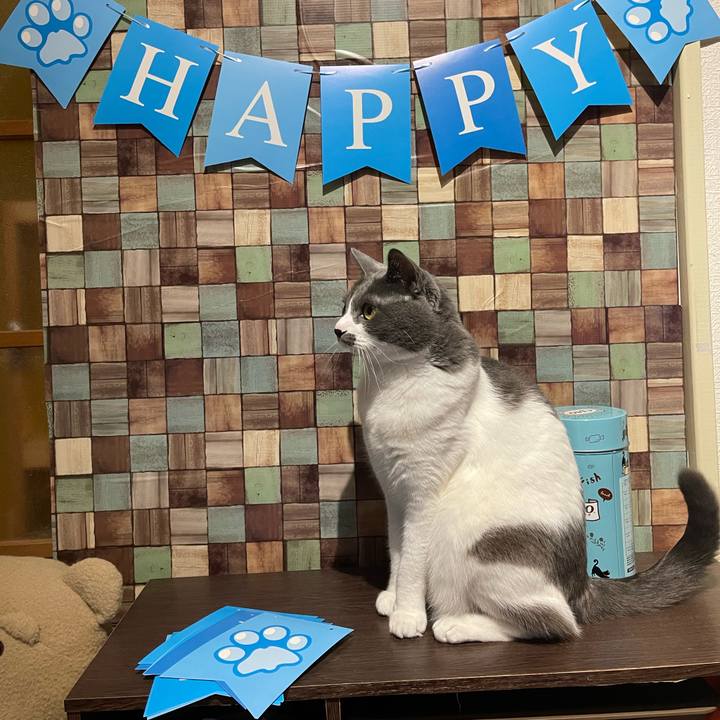 1b913c2a 0994 4c7f 8339 23639e7247d8 1671609719479