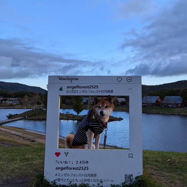 1b91844a bcec 4f66 ae8d e70d38da9939 1730460224628