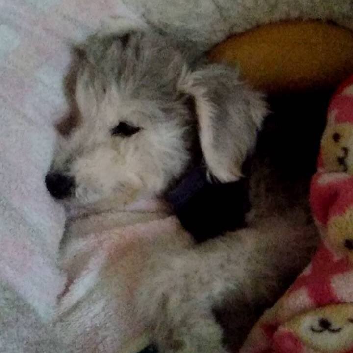 1b91a1cc 2d7c 4e2d befe cef72bbb425a 1669418135508