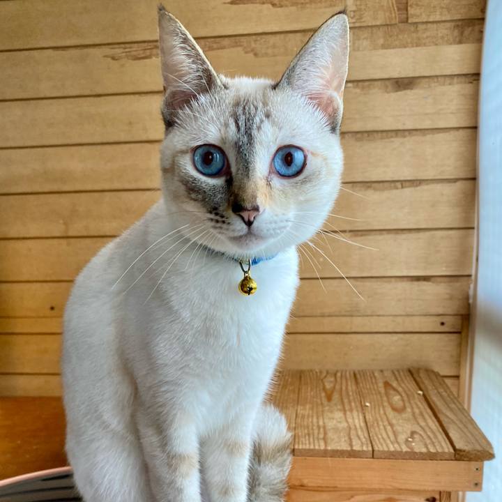 1b91d0ad d086 4670 8ed6 c26708cd9af2 1658447105467