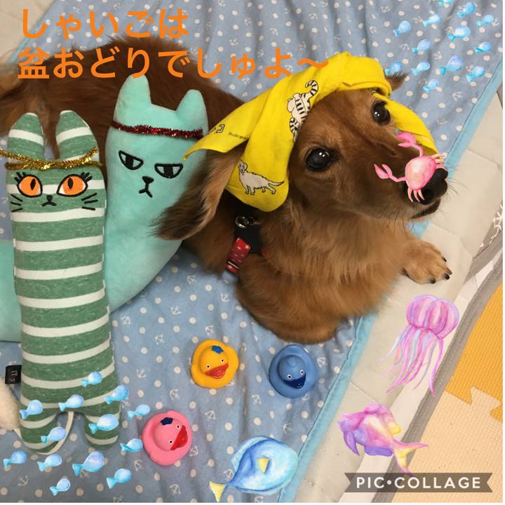 1b91d769 fc1e 4a61 a322 44ac3a7f554c 1597329185066