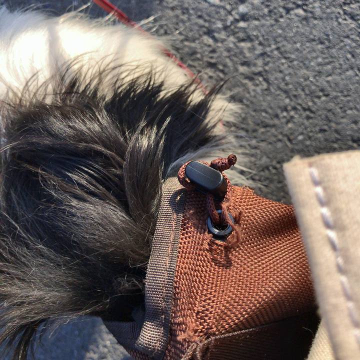 1b91ed70 12f2 486b bcb7 920af8fe9d77 1525518070653