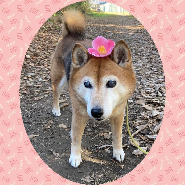 1b91eda2 b0a6 4957 bbbe 63b1b8768160 1673060995402