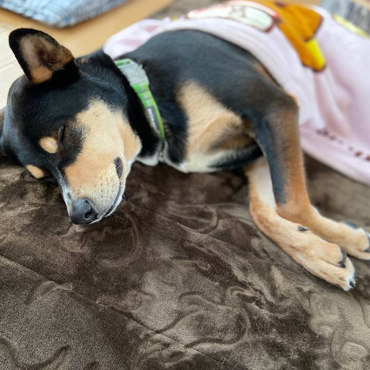 1b920c63 822b 4d47 ad2b 609d8b28d9fd 1610072504200