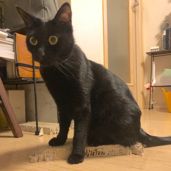 1b921591 e2e9 4b5c ac03 96793cf33b86 1578020192888