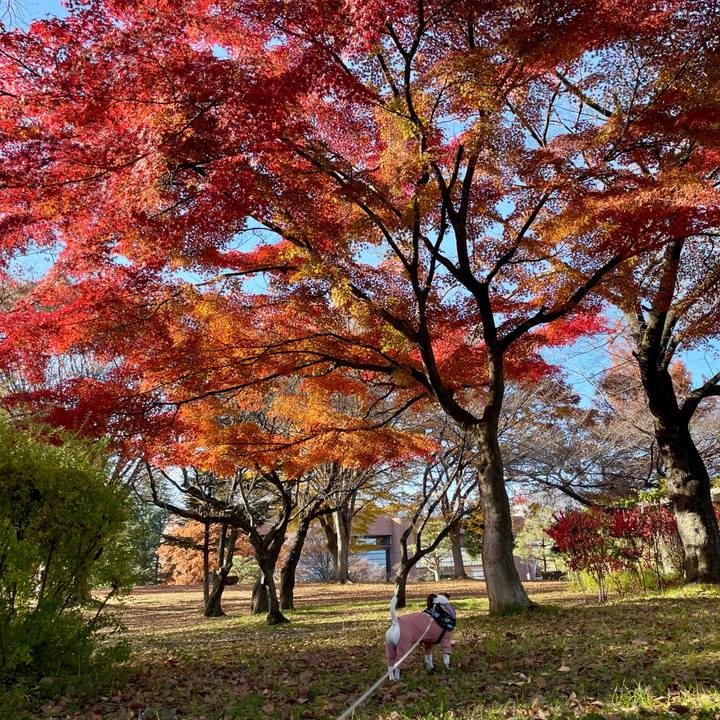 1b928f18 abe6 4b45 b596 e756d36d8afe 1733128410356