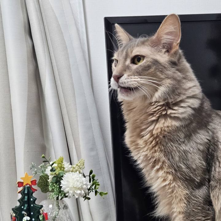 1b92b939 0947 4dbd 90f2 07df0bea419b 1766825008567