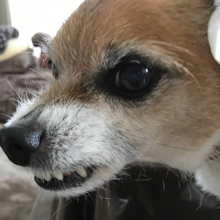 1b92b9ea 14fb 4bcc b6f3 2bf01ff48915 1587823279131