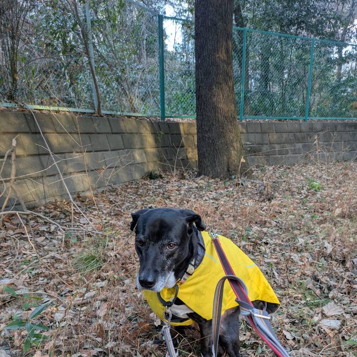 1b92c073 57f7 4297 a9d6 66259177c935 1736986244554