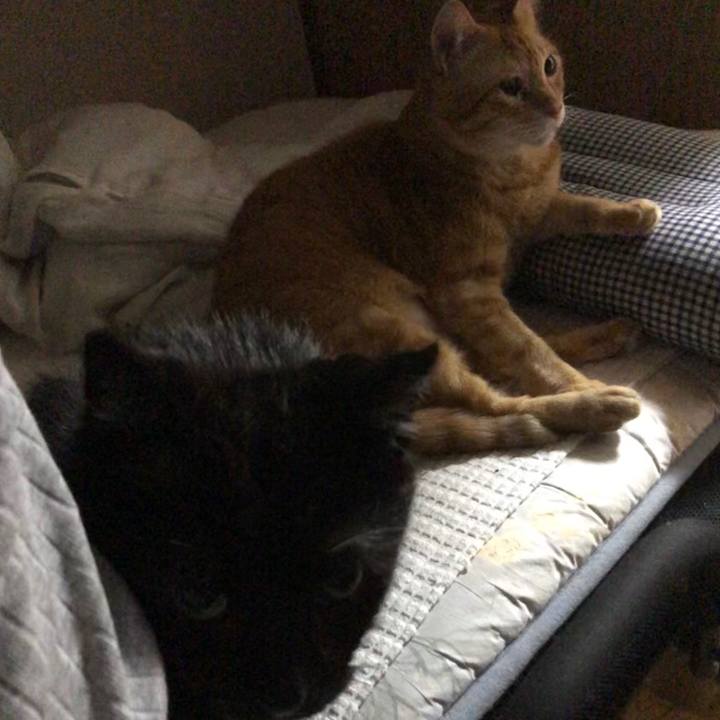 1b92dc98 11fc 4dc7 99b6 62e5021cc326 1598272592733