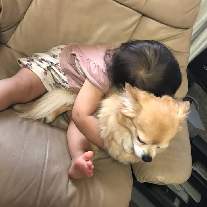 1b935f30 6bfd 43f4 8556 c6edc37ec3ab 1556965353995