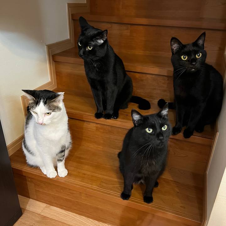 1b938c2c b43c 4a9a b2f0 89f959d7b16e 1653829945527