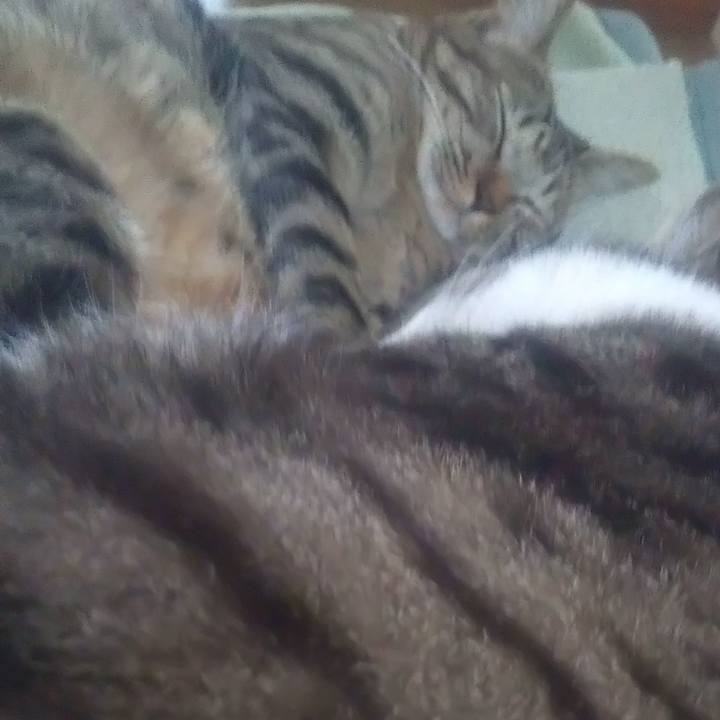 1b939235 782b 4156 a3d9 801d54099be3 1683418737920